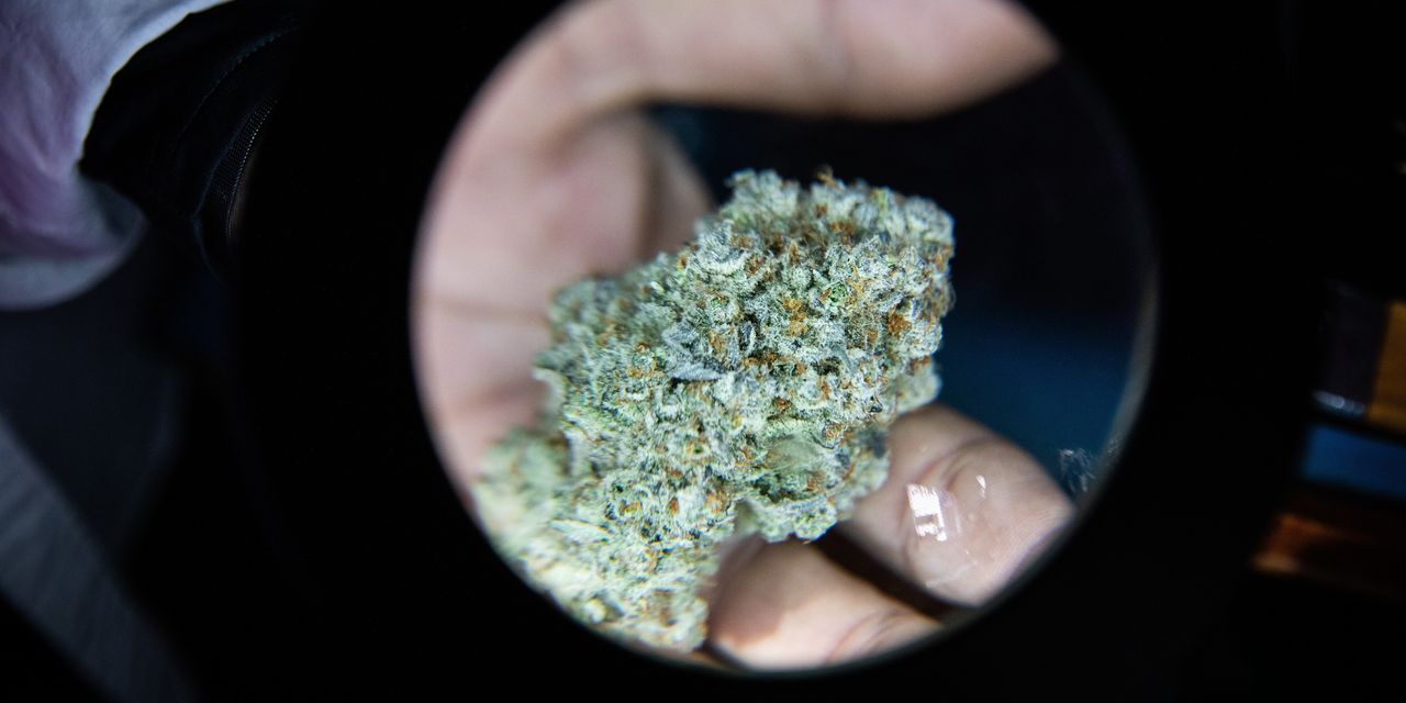 Legislators Plan Substantial Changes To State's Marijuana Law!