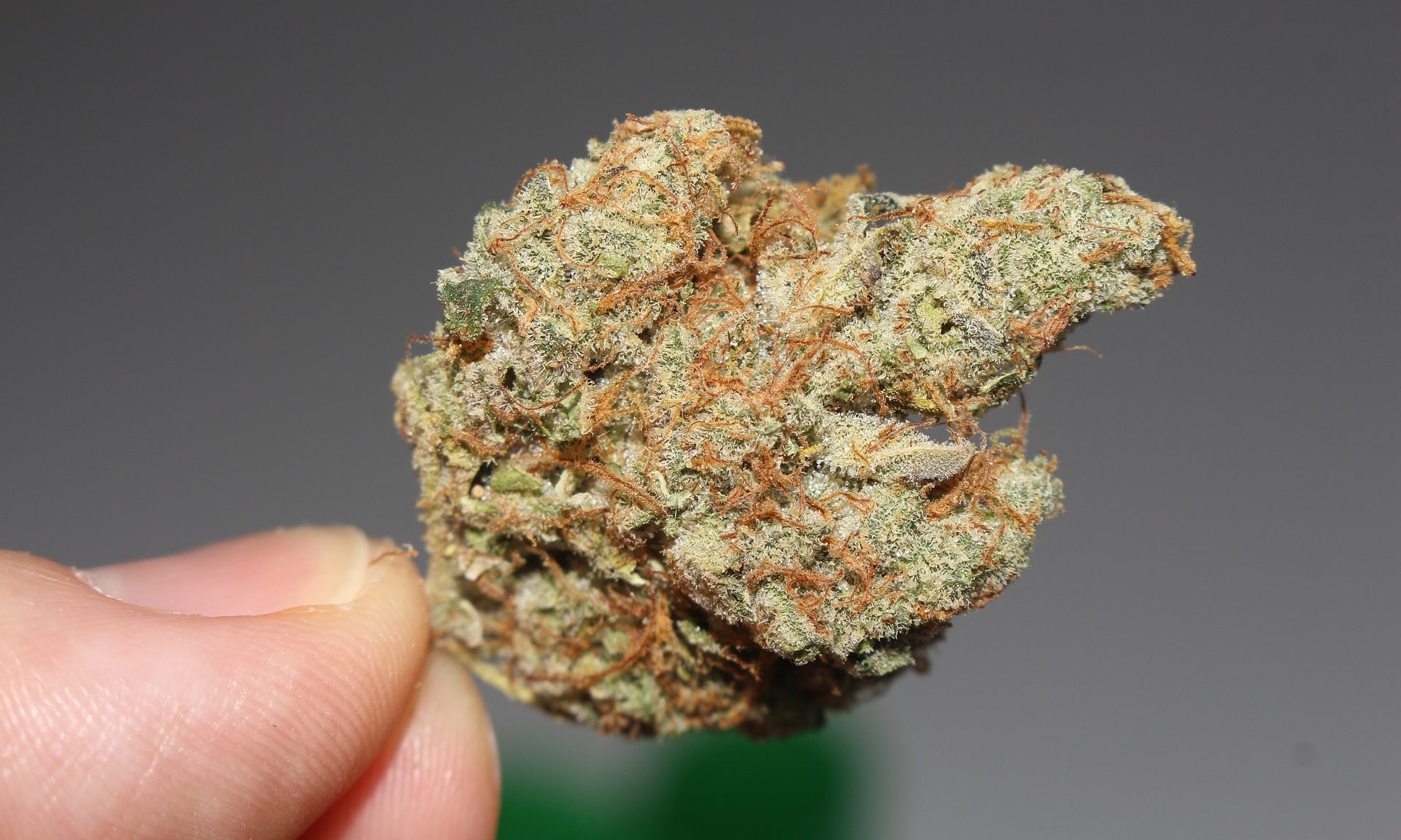 Feds Charge a Former Speaker of The Michigan House Of Representatives With Bribery In A Marijuana Licensing Case!