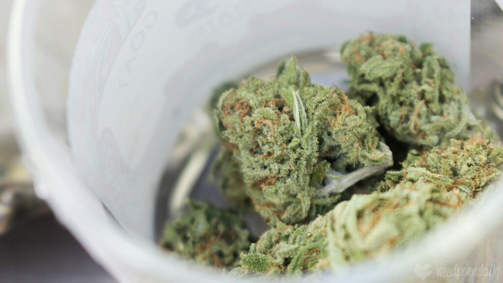New York Governor Launches Marijuana Campaign Urging People To ‘Buy Legal’ At State’s Few Licensed Retailers Ahead Of 4/20!