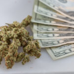 A Top Colorado Senator Has Put Forward A Bill To Regulate Psychedelics, Which Has Gotten Mixed Reactions!