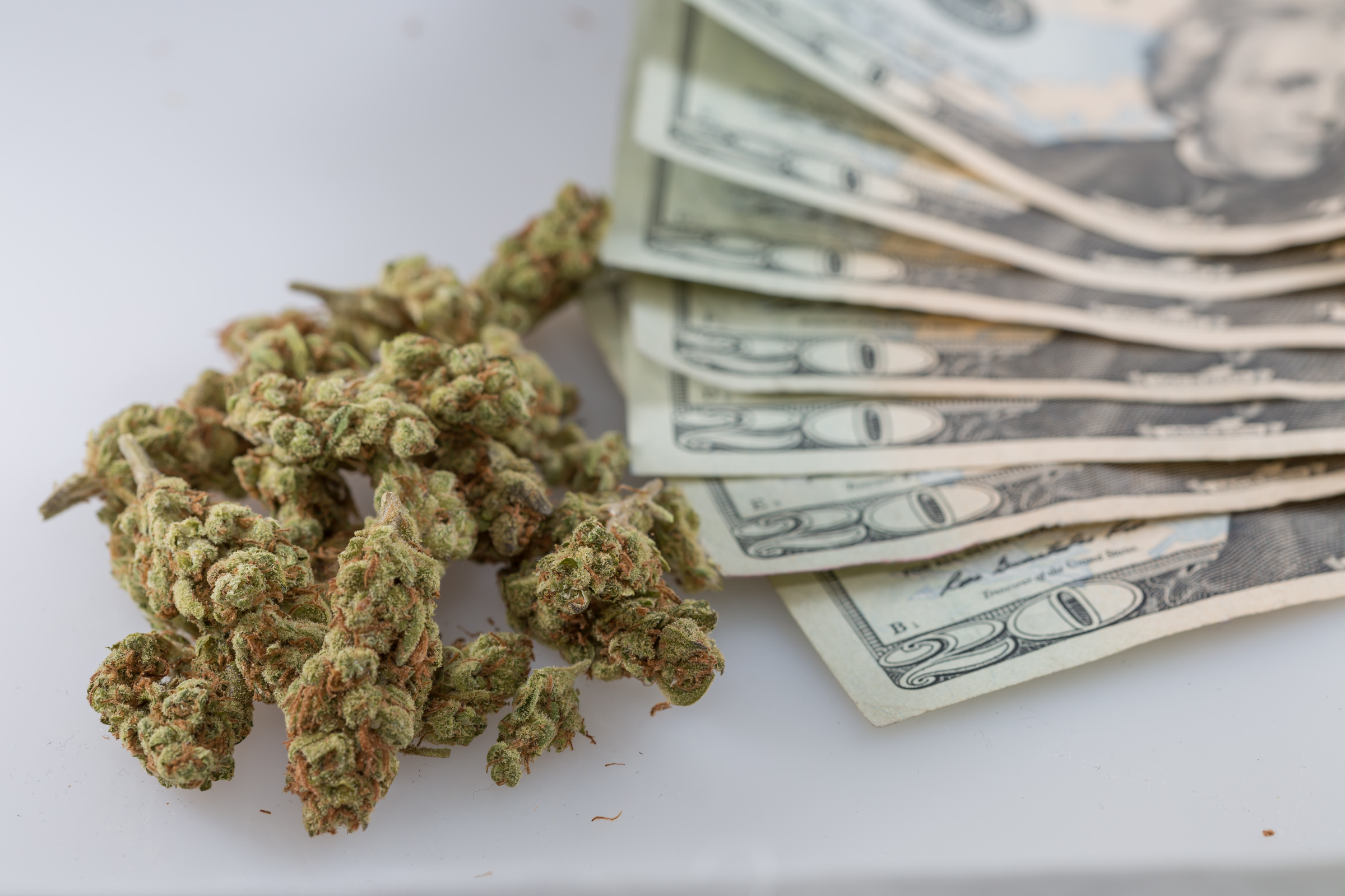 Lawmakers In Louisiana Vote Down A Bill To Get Rid Of The Marijuana Stamp Tax For Illegal Sellers!