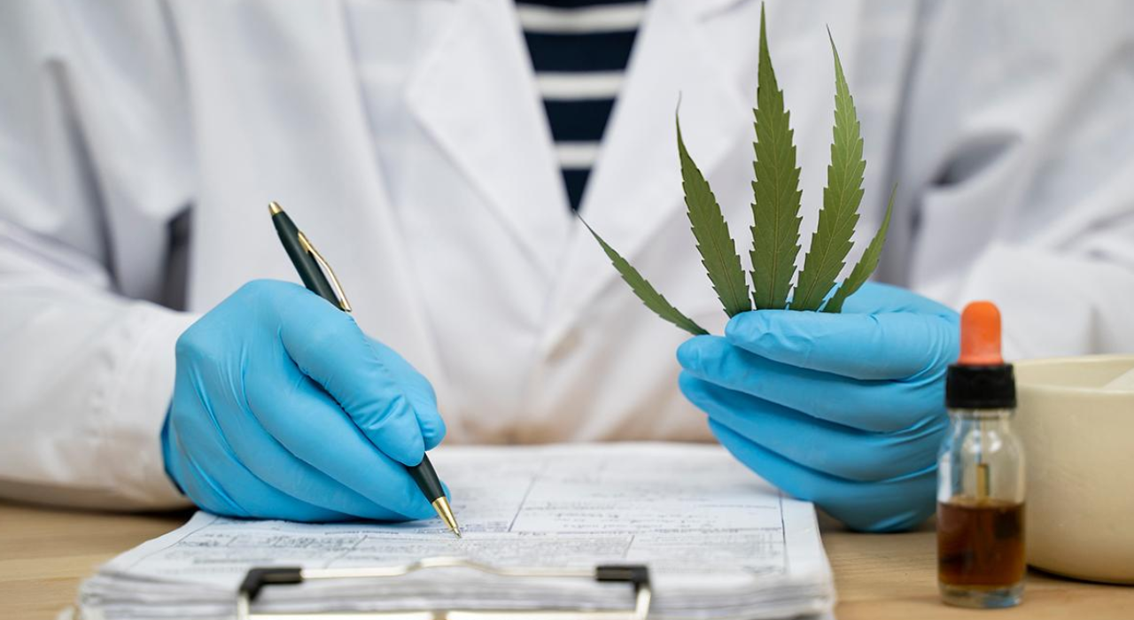 Professional Pharmacists Support Legalization of Drugs!
