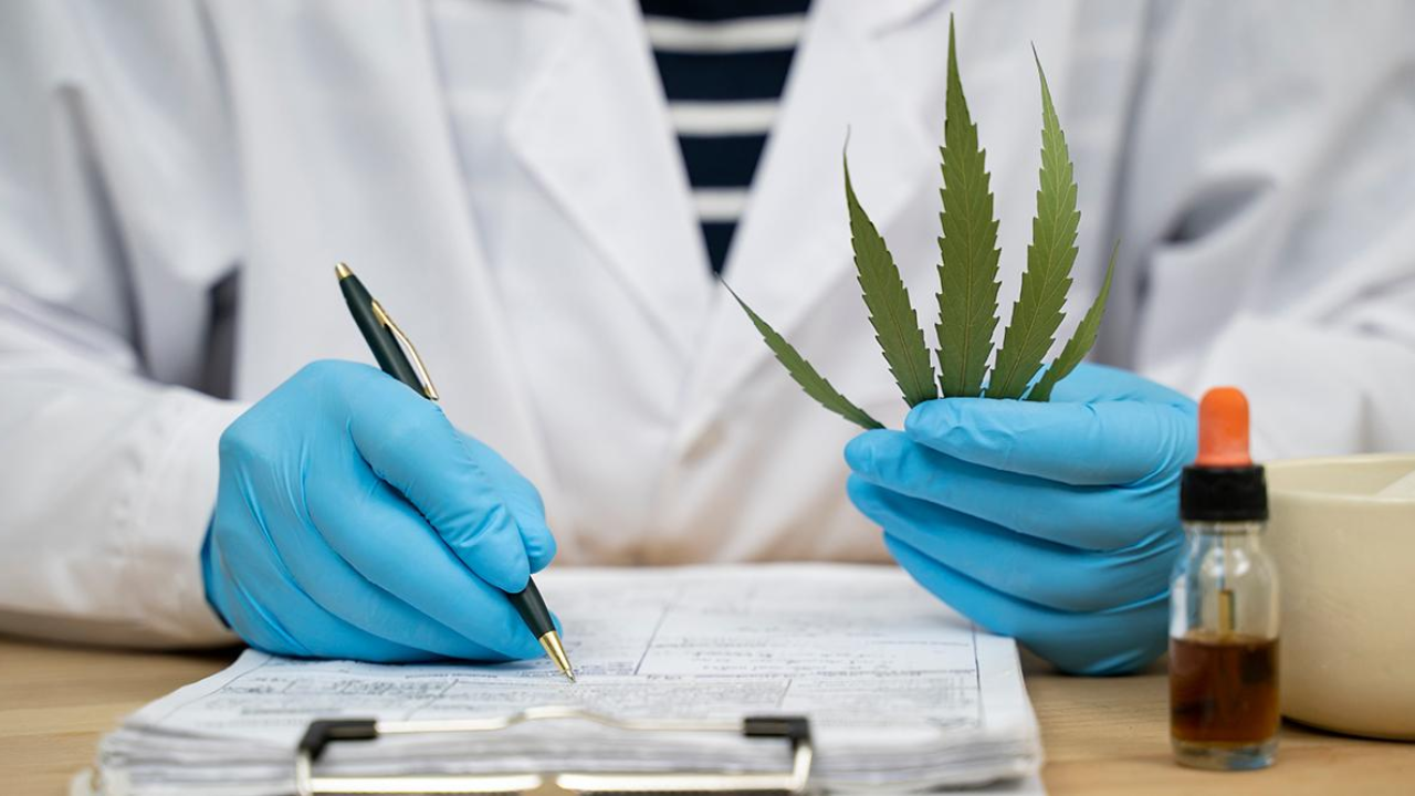 Professional Pharmacists Support Legalization of Drugs!